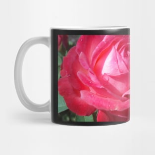 Bright Sun Hot Pink Rose Photo Print And Others Mug